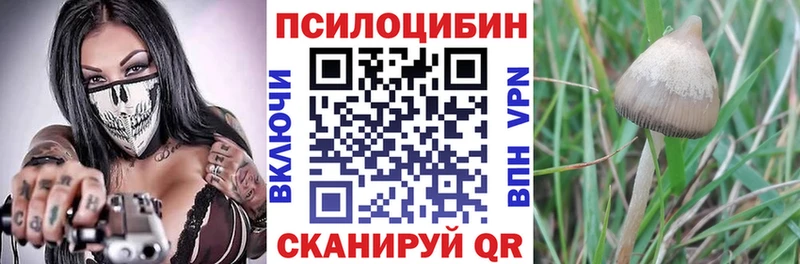 Галлюциногенные грибы GOLDEN TEACHER  купить наркотики сайты  Морозовск 