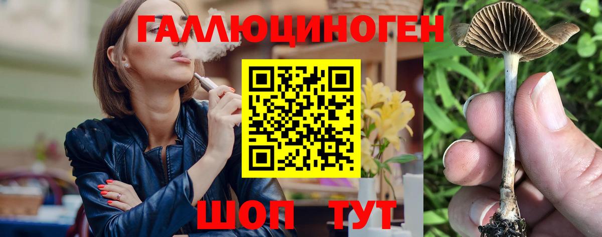 Морозовск  наркота  Вход с VPN  Галлюциногенные грибы Psilocybine cubensis 